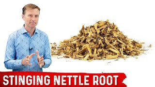 5 Benefits of Stinging Nettle Root [upl. by Older608]