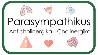 Parasympathikus – Pharmakologie Anticholinergika Atropin Scopolamin  Cholinergika Neostigmin [upl. by Westfall]