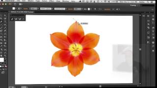 How To Use The Pen Tool in Adobe Illustrator Photoshop and InDesign CS6 [upl. by Ayk]