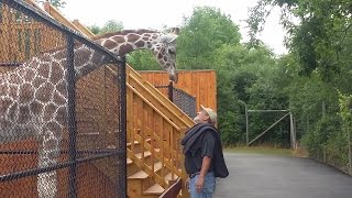 Go Inside the Wild Animal Park in Chittenango [upl. by Boone]