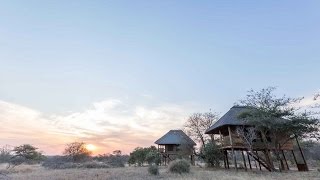 nThambo Tree Camp Klaserie Nature Reserve Kruger National Park [upl. by Ahsiloc]