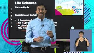 Life Sciences Grd10 Nutrient Cycles Carbon and Nitrogen Cycles [upl. by Anchie]