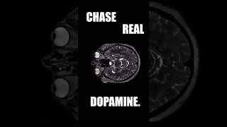 Chase Real Dopamine You’ll Never Reach Your Full Potential If Fake Dopamine Is Always Within Reach [upl. by Goerke]