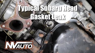 How to diagnose a external Subaru head gasket leak [upl. by Gaughan]