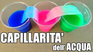 🧪⚗ Esperimento sulla capillarità dellacqua [upl. by Eirahs]