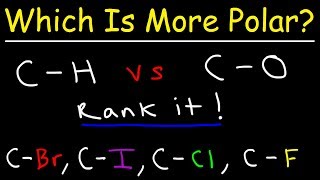 Which Bond Is More Polar [upl. by Anoblav]