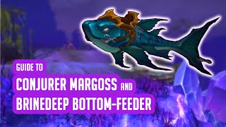 Guide to Conjurer Margoss reputation and Brinedeep BottomFeeder mount [upl. by Otsuj]