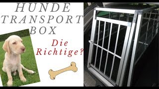 Hundetransportbox gekauftAnschnallsystemInfos und Tippspasst sie rein Familyvlog [upl. by O'Neill444]