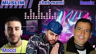 CHEB MAMI SIDI TALEB REMIX BOB MARLEY [upl. by Denzil]