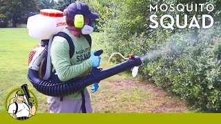 What To Expect From Mosquito Squad  Mosquito and Tick Control [upl. by Oralee763]