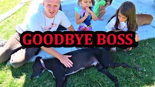 Goodbye Boss [upl. by Neit]