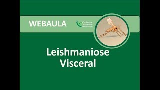 Webaula  Leishmaniose Visceral [upl. by Mike911]