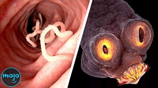 Top 10 Grossest Parasites And What They Do To Your Body [upl. by Iosep531]