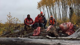 2017 Saskatchewan Moose Hunt [upl. by Pillow]