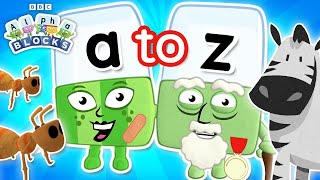 The A to Z of Animals  Learn to Read for Kids [upl. by Carolyne]