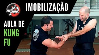 Técnicas de Imobilização e Torções  Kung Fu [upl. by Aynuat]