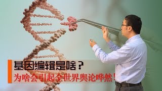 基因编辑是啥？CRISPRcas9技术如何修改DNA？李永乐老师讲基因工程（1） [upl. by Nannahs419]