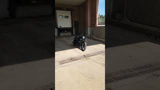 Custom Harley Davidson Sportster Iron 883 Brutal SOUND [upl. by Ayhdiv290]