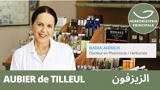 🌿AUBIER de TILLEUL  Dr Nadia Aiouch 👩🏻‍⚕️  HERBORISTERIE PRINCIPALE ®  CASABLANCA  MAROC 🇲🇦 [upl. by Vieva]