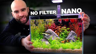 Nano Ecosystem Fish Tank You Can Put Anywhere [upl. by Nellie609]