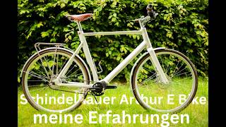 Würde ich es wieder kaufen Schindelhauer Arthur E Bike nach einem Jahr Erfahrungsbericht [upl. by Braun653]