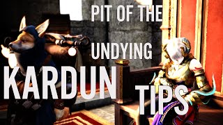 BDO Pit of the Undying Tips  Kardun [upl. by Kenric702]