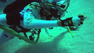 Aquanautics Why Astronauts Train Underwater  Video [upl. by Sonnnie]