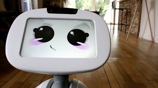 Buddy The Family Companion Robot [upl. by Ridglea]