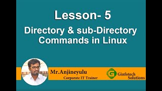 Directories and subDirectories Creation in Linux [upl. by Kannry]