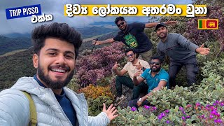 Kirigalpoththa mountain Hike ft TripPisso 🇱🇰 [upl. by Klarika]