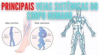 PRINCIPAIS VEIAS SISTÊMICAS DO CORPO HUMANO I APRENDI ENSINANDO [upl. by Raymond]