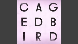 A Caged BirdImitations of Life Instrumental [upl. by Bara]