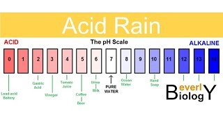 Acid Rain [upl. by Abel]