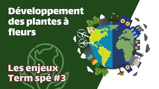 Développement des plantes à fleurs SVT  ENJEUX Term spé 3  Mathrix [upl. by Barling]