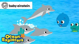 Problem Solving with Dolphins🐬  Ocean Explorers Compilation  Baby Einstein  Learning Cartoon [upl. by Yer]