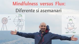 Mindfulness versus Flux asemanari si deosebiri [upl. by Hasseman]