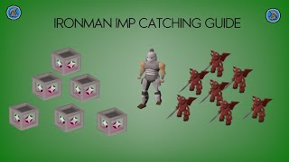 OSRS NEW Ironman Imp Catching  Imp in a box  Hunter [upl. by Anawqahs920]