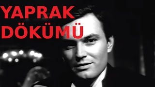 Yaprak Dökümü  Eski Türk Filmi Tek Parça [upl. by Charlean]