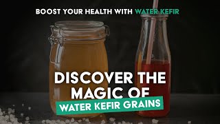 Transform Your Health with Water Kefir Grains – Easy Refreshing Probiotics at Home [upl. by Joette]