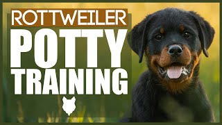 PUPPY TRAINING ROTTWEILER POTTY TRAINING [upl. by Yhtrod829]