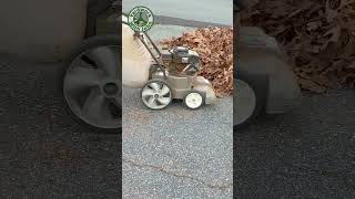 Vacuuming up the leaves on my driveway [upl. by Peatroy344]