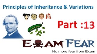 Biology Inheritance Principle part 13 Incomplete dominance class 12 XII [upl. by Matless]