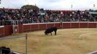 DAVID FANDILA EL FANDI BANDERILLAS EN VEJER [upl. by Almeria]