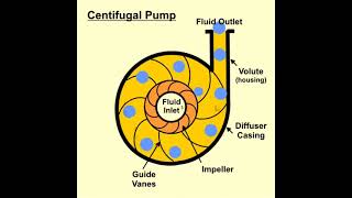 How does a Centrifugal pump work  Centrifugal pump working animation  Types of pump [upl. by Nylirret]