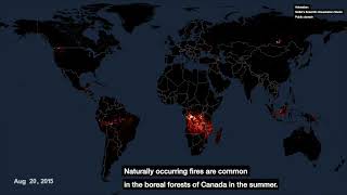 Map of Wildfires Around the World [upl. by Natanoy]