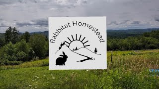 Introducing Rabbitat Homestead [upl. by Hsihsa]