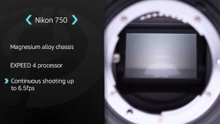 Nikon D750 Product Overview [upl. by Ennaer]