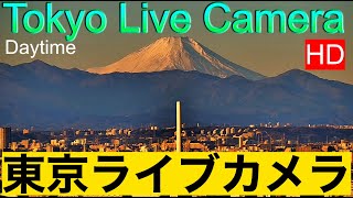 【LIVE】WEST TOKYO LIVE CAMERA MtFuji from Tokyo 西向き東京ライブカメラ 富士山 紅富士 赤富士 東京からの富士山 [upl. by Edalb109]