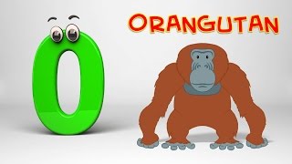 ABC Song  Phonics Letter O [upl. by Hynes]