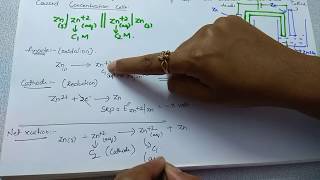 Concentration cells  Nernst equation  Electrochemistry  Class 12 Chemistry [upl. by Atnahsa]